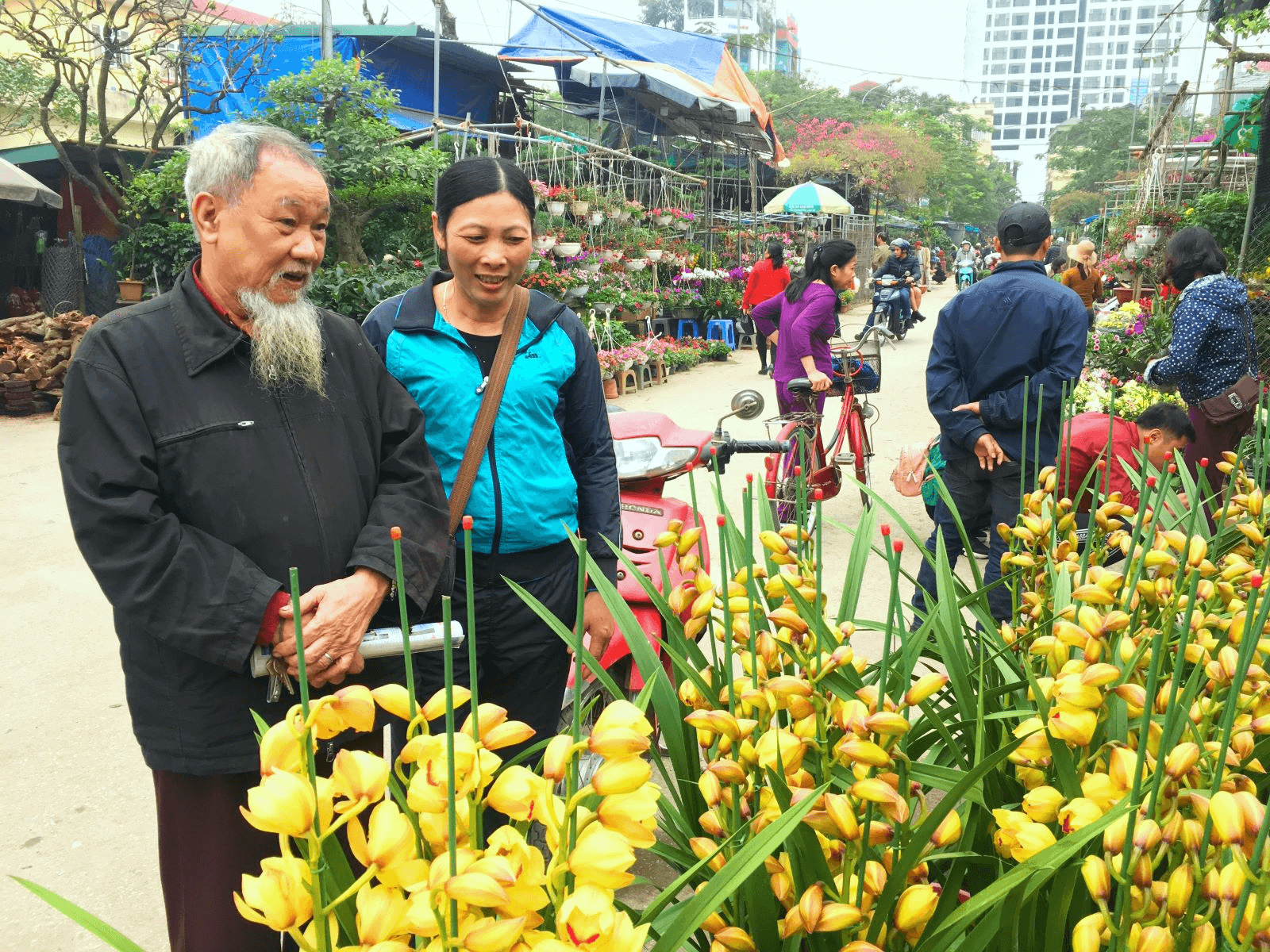 Lan khoe sắc trên quê lụa