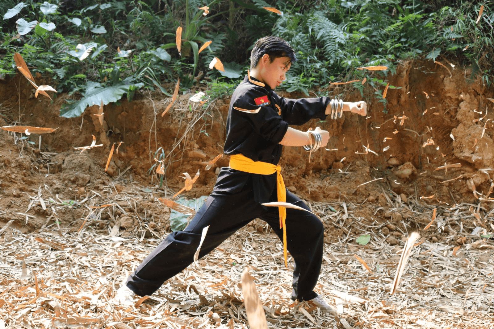 Hình tượng rồng trong võ cổ truyền
