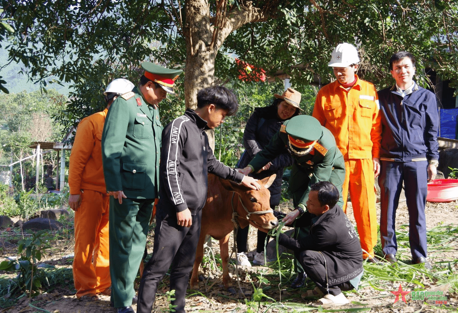 Yên lòng quân đi, ấm lòng quân về