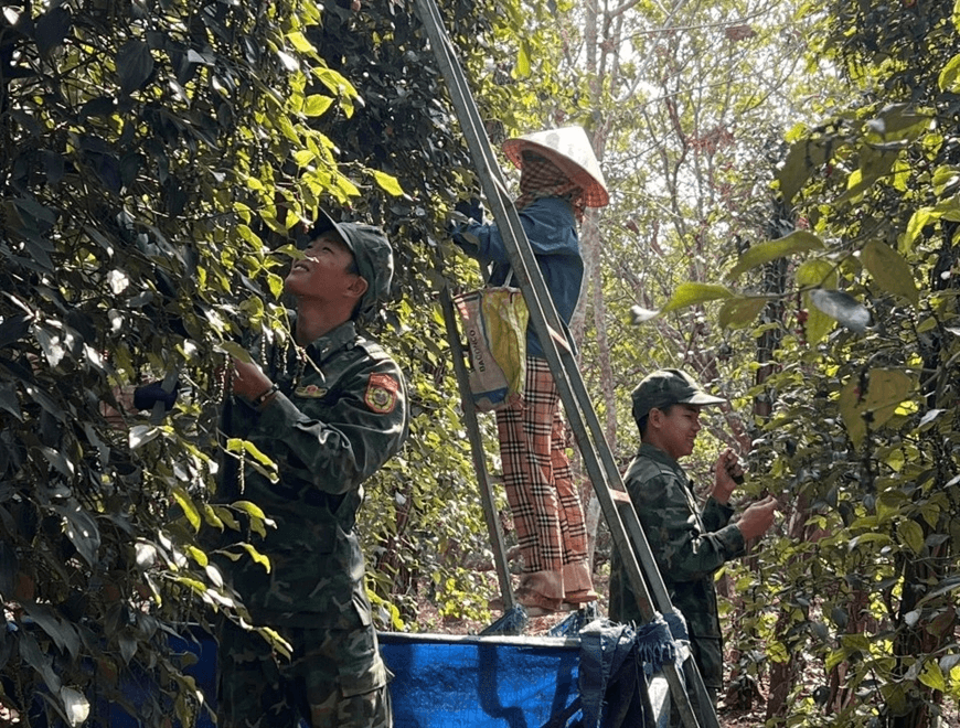 Đẩy mạnh việc giúp nhân dân khu vực biên giới