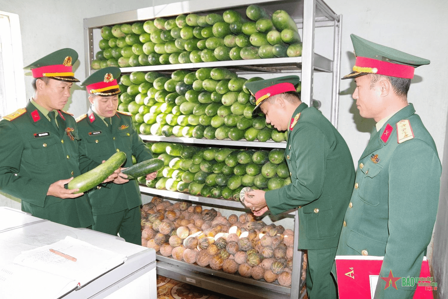 Bảo đảm tốt các mặt hậu cần đón nhận, huấn luyện chiến sĩ mới