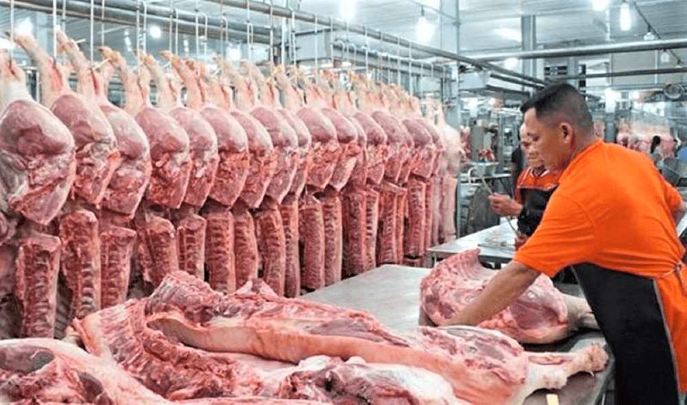 Giá lợn hơi hôm nay (19-2): Thấp nhất 52.000 đồng/kg