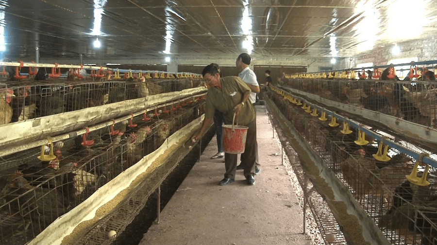 Cựu chiến binh gương mẫu