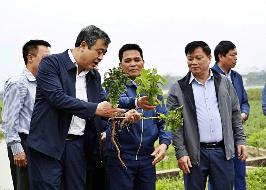 Mô hình chi bộ kiểu mẫu ở Đảng bộ tỉnh Thái Bình: Cách làm mới, sáng tạo, hiệu quả thực chất