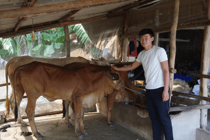 Thư về tòa soạn: Niềm vui của quân nhân xuất ngũ