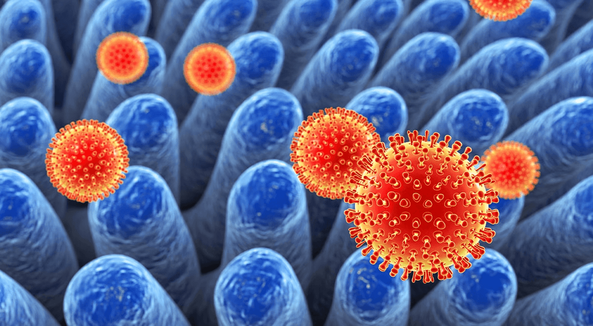Virus Rota nguy hiểm như thế nào đối với trẻ nhỏ?