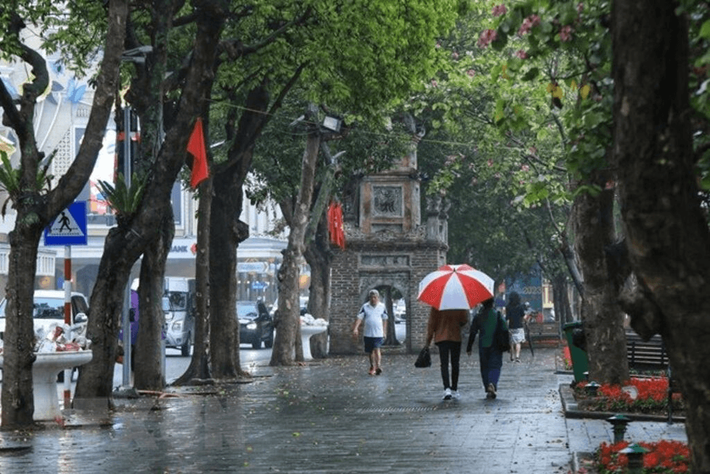 Thời tiết hôm nay (14-3): Bắc Bộ có mưa, đêm và sáng trời lạnh