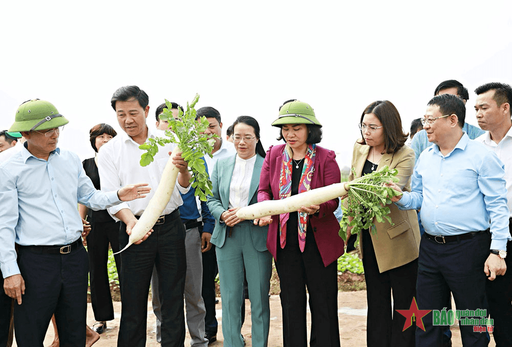 Đảng bộ TP Hà Nội: Xứng đáng là Đảng bộ gương mẫu đi đầu