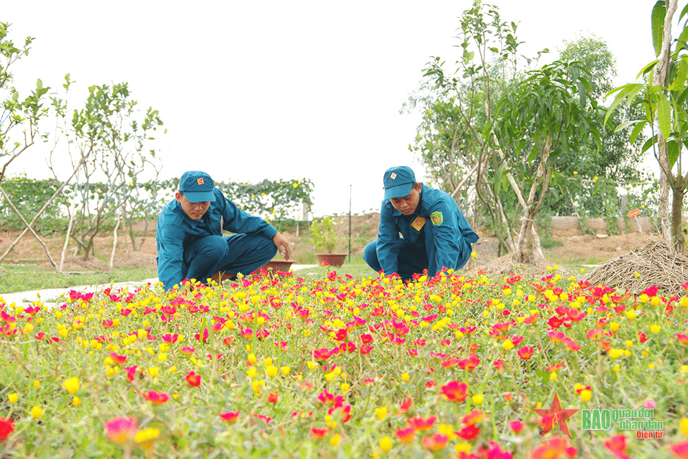 Thư về tòa soạn - Nét đẹp chính quy ở chốt dân quân biên giới