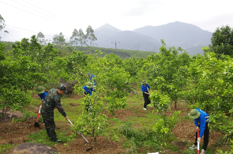 Những việc làm thiết thực của bộ đội Lâm trường 155