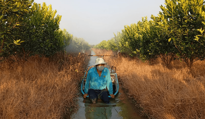 Đồng bằng sông Cửu Long kịp thời ứng phó với hạn, mặn