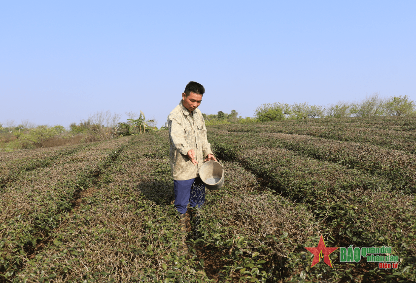 Góp sức giúp dân làm giàu trên quê hương mới