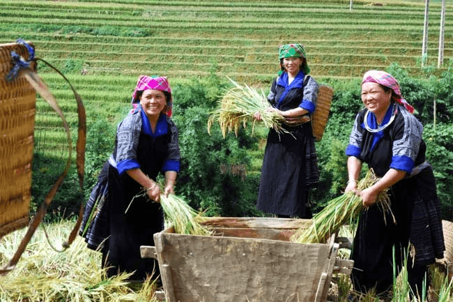 Trao sinh kế, giúp người dân thoát nghèo