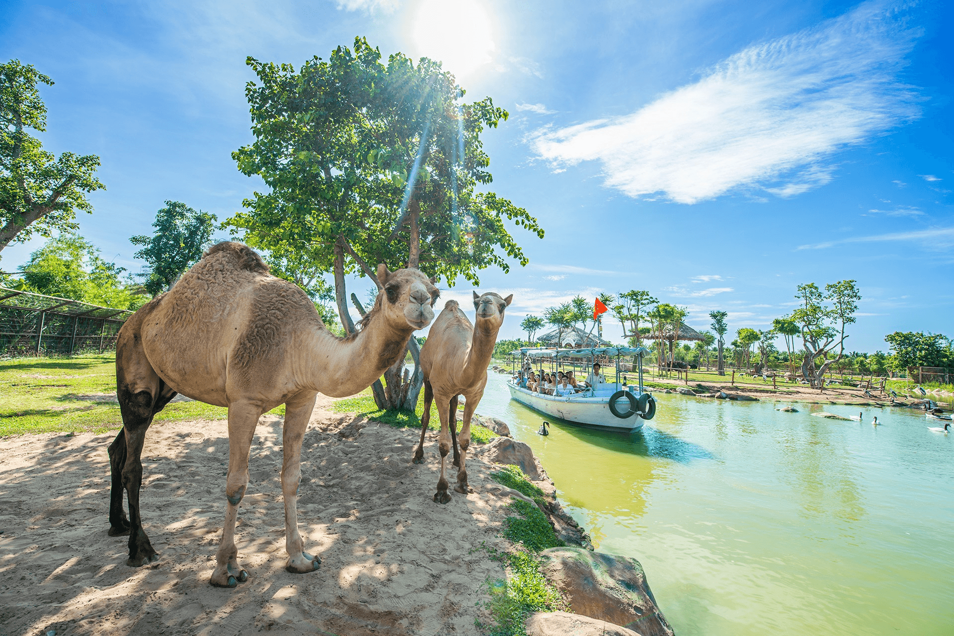 Sự sống hồi sinh ở River Safari Nam Hội An