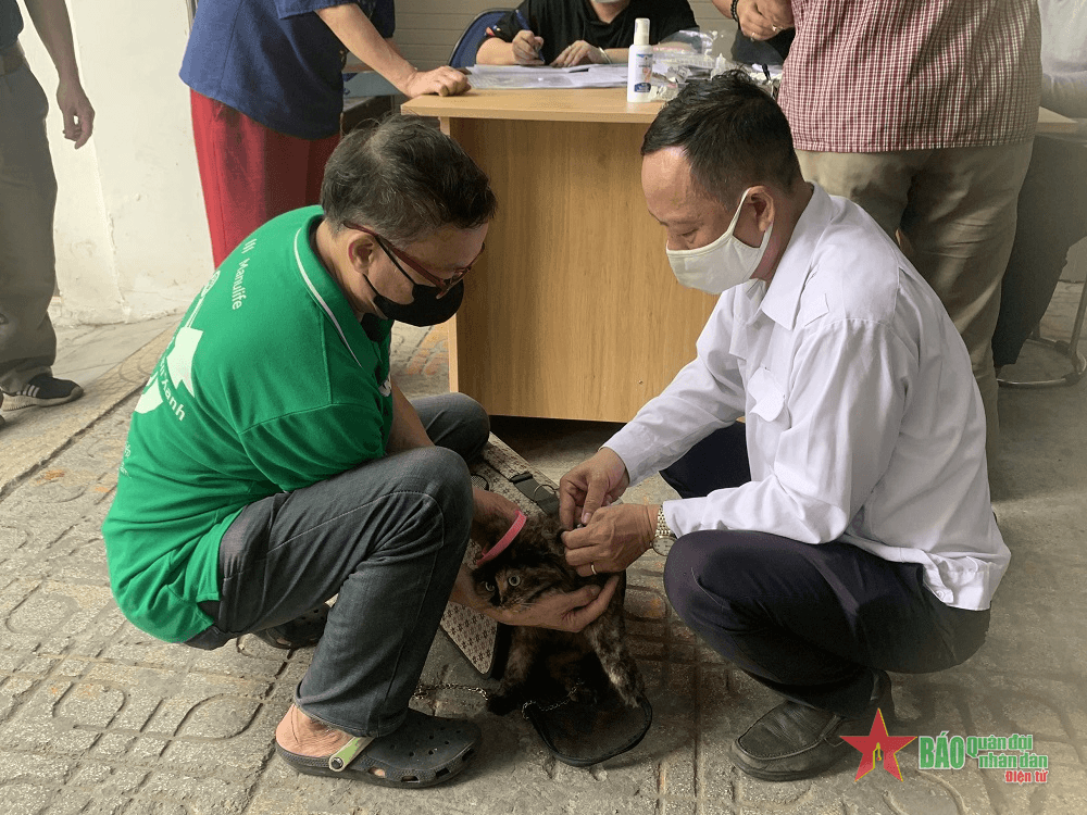 Vì sao bệnh dại đang có xu hướng gia tăng?