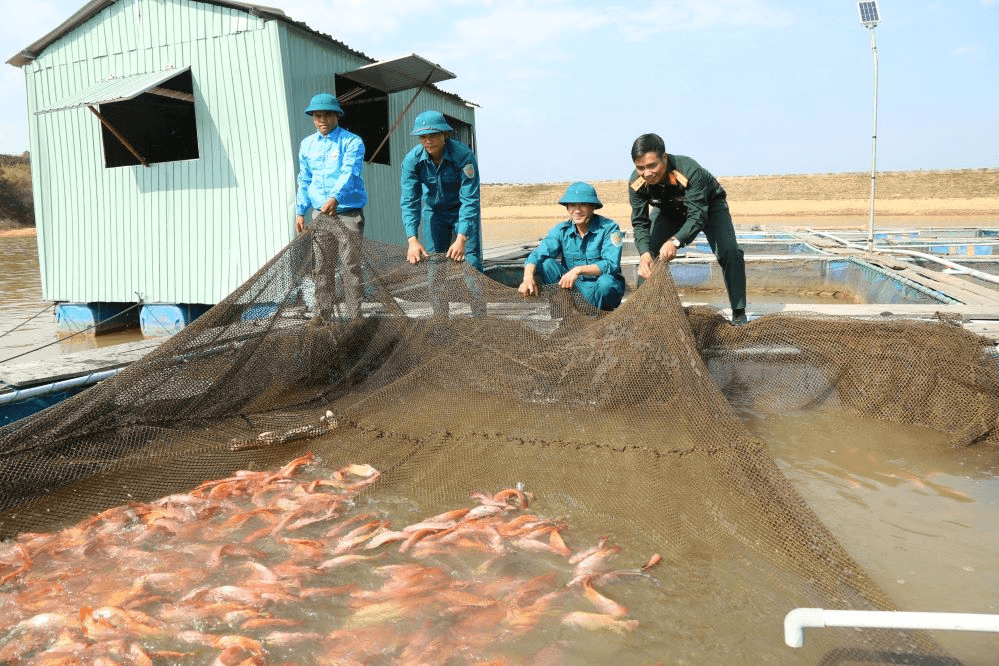 Dân quân xã Pô Kô làm kinh tế giỏi
