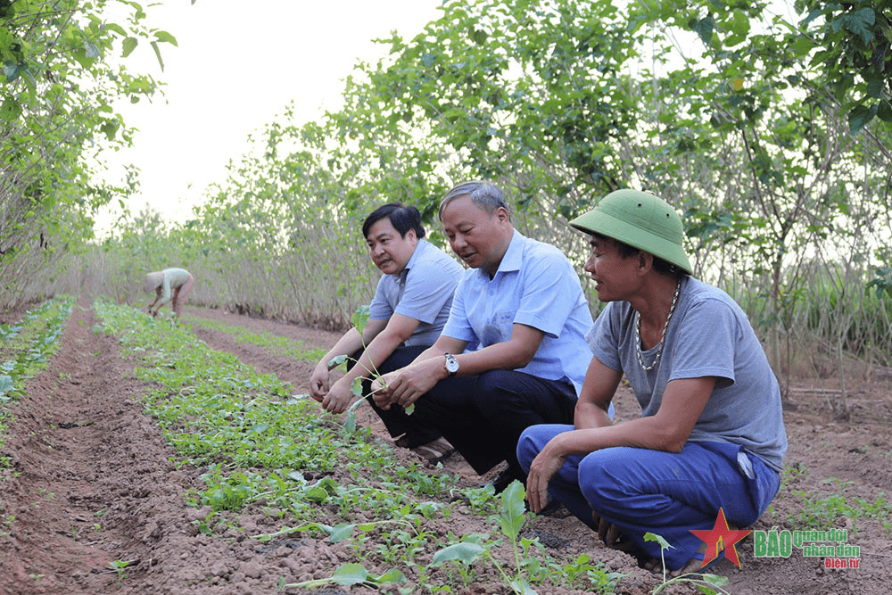 Khi lòng dân đã thuận