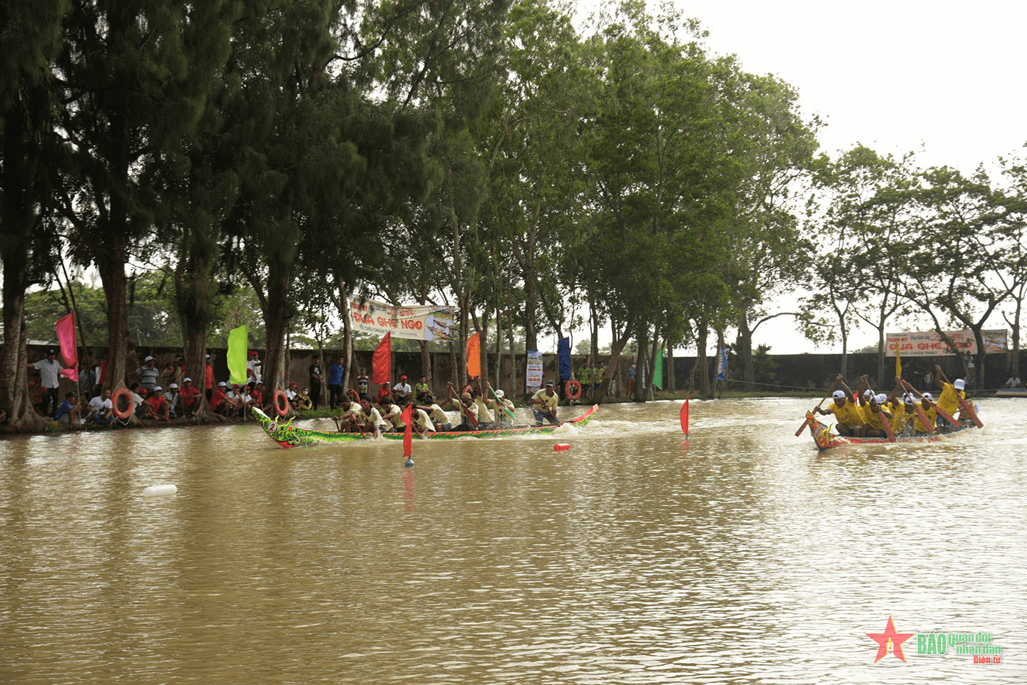 Hơn 300 vận động viên tham dự giải đua ghe Ngo tỉnh Bạc Liêu 2024