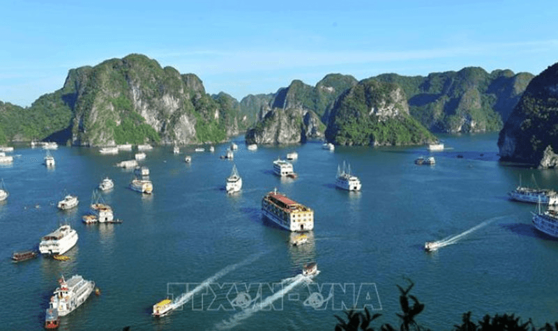 Đừng ăn xổi
