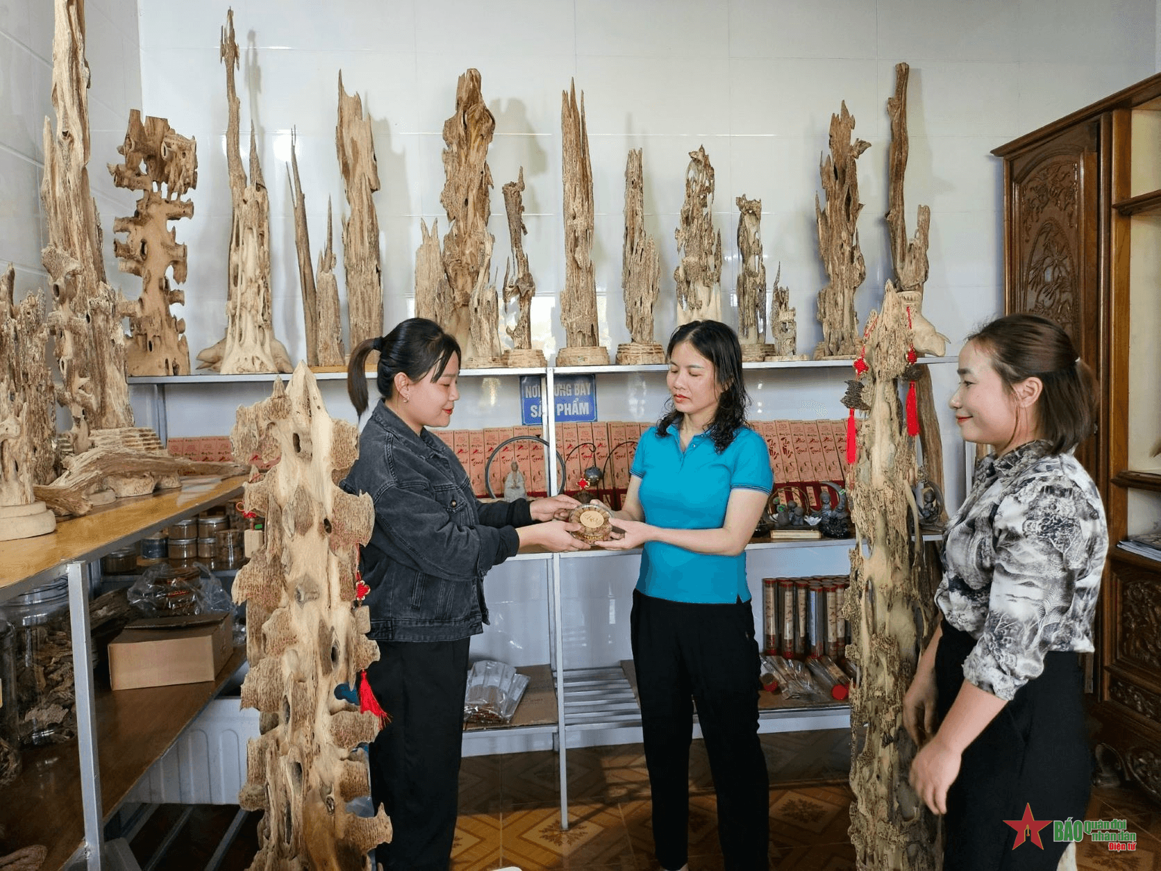 Miền núi Hà Tĩnh làm giàu từ cây dó trầm