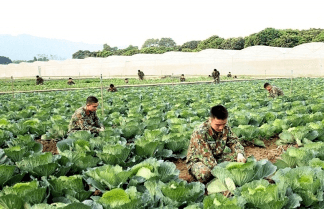 Sư đoàn 308 (Quân đoàn 12): Bảo đảm tốt hậu cần cho chiến sĩ mới
