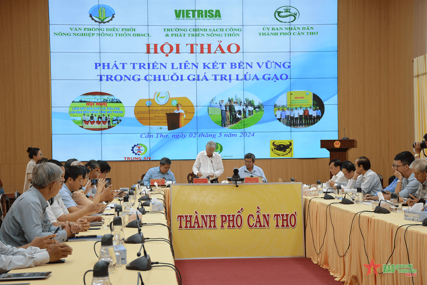 Liên kết để phát triển chuỗi giá trị ngành hàng lúa gạo