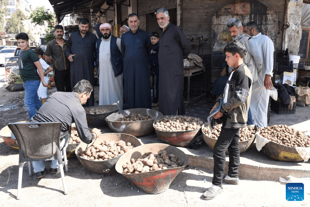 Nghề săn "của trời ban" tại Syria