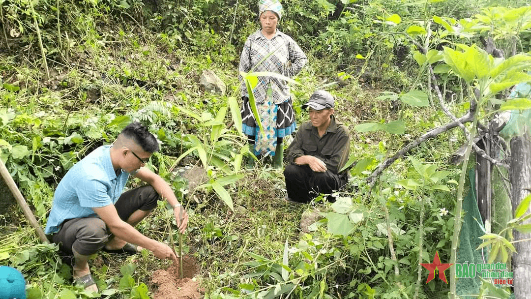 Sùng A Dê giúp người dân vùng cao thoát nghèo