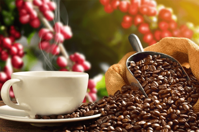 Giá cà phê hôm nay (10-5): Lấy lại mốc 100.000 đồng/kg