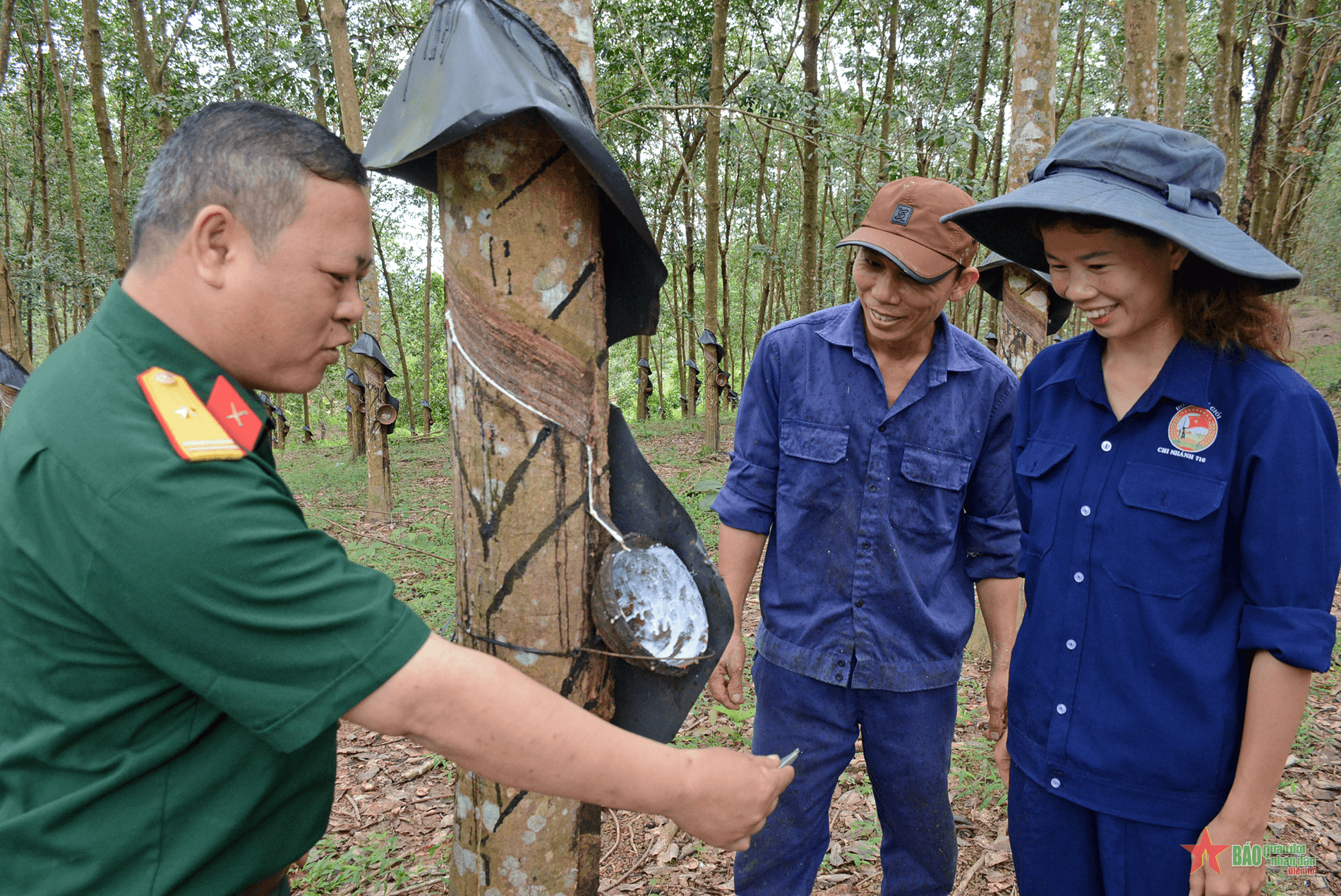 "Bàn tay vàng" làm nên sung túc