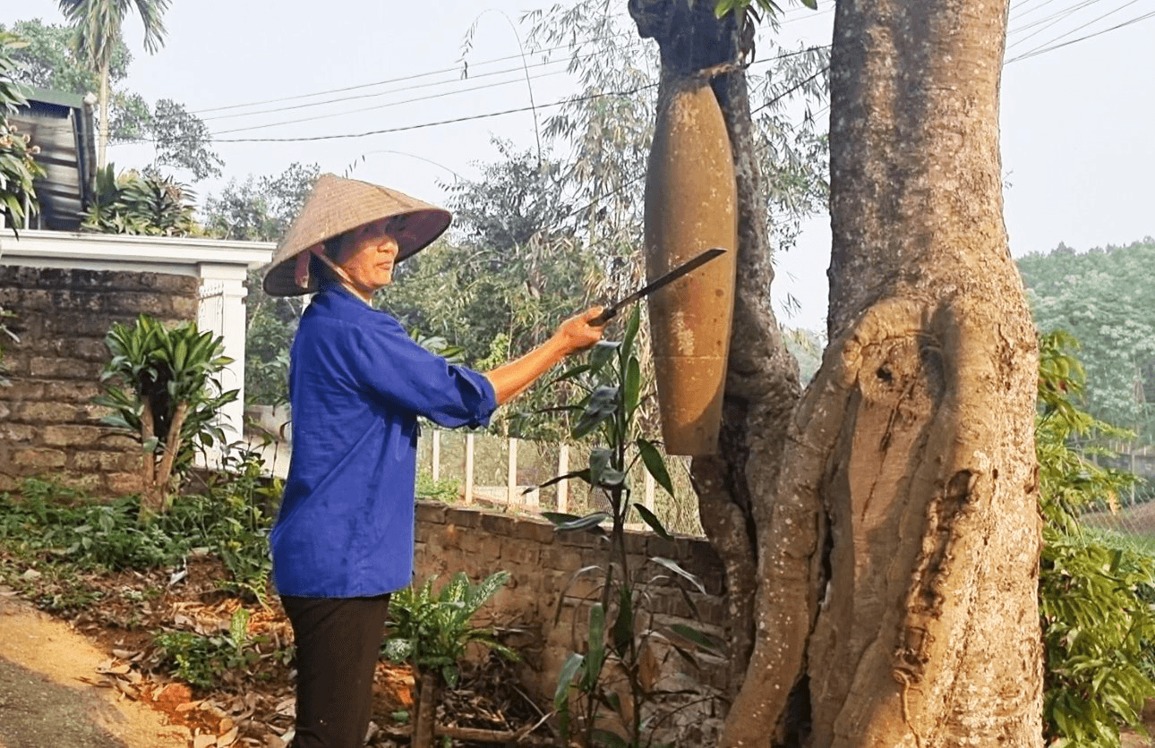 Vân Lĩnh - “hậu cứ thép” giữa đồi xanh