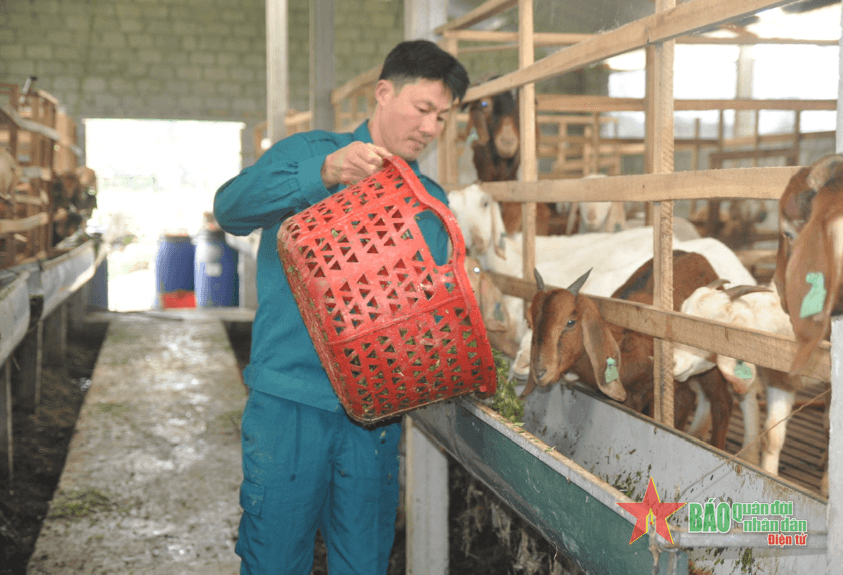 Cán bộ quân sự xã "hai giỏi"