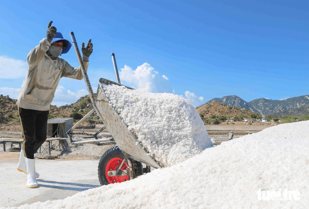 Giá muối giảm, chỉ còn 900 - 1.200 đồng/kg