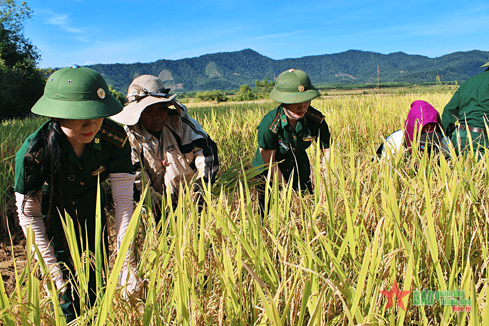 Nêu gương sáng học và làm theo Bác