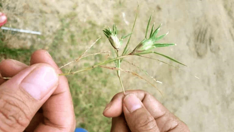 Chiến sĩ viết: Mênh mang ký ức tuổi thơ