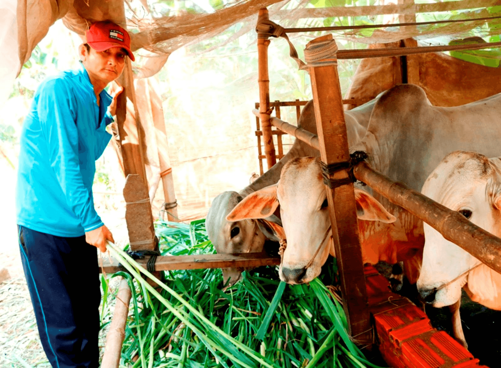 Đổi thay ở huyện miền núi Tri Tôn