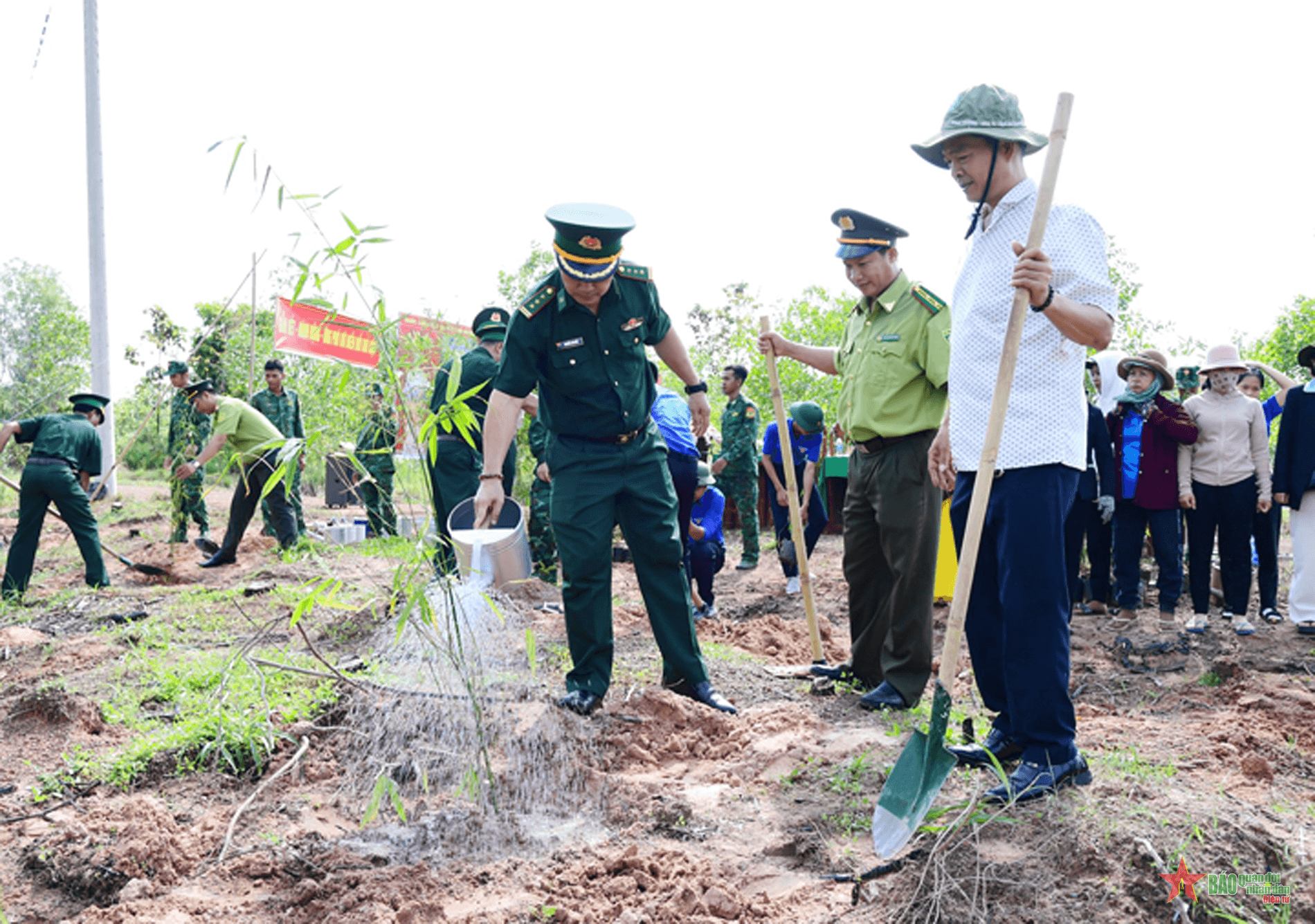 Bình Phước triển khai mô hình trồng tre gai nơi biên giới