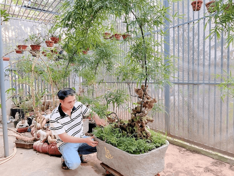 "Thổi hồn" vào những thân tre