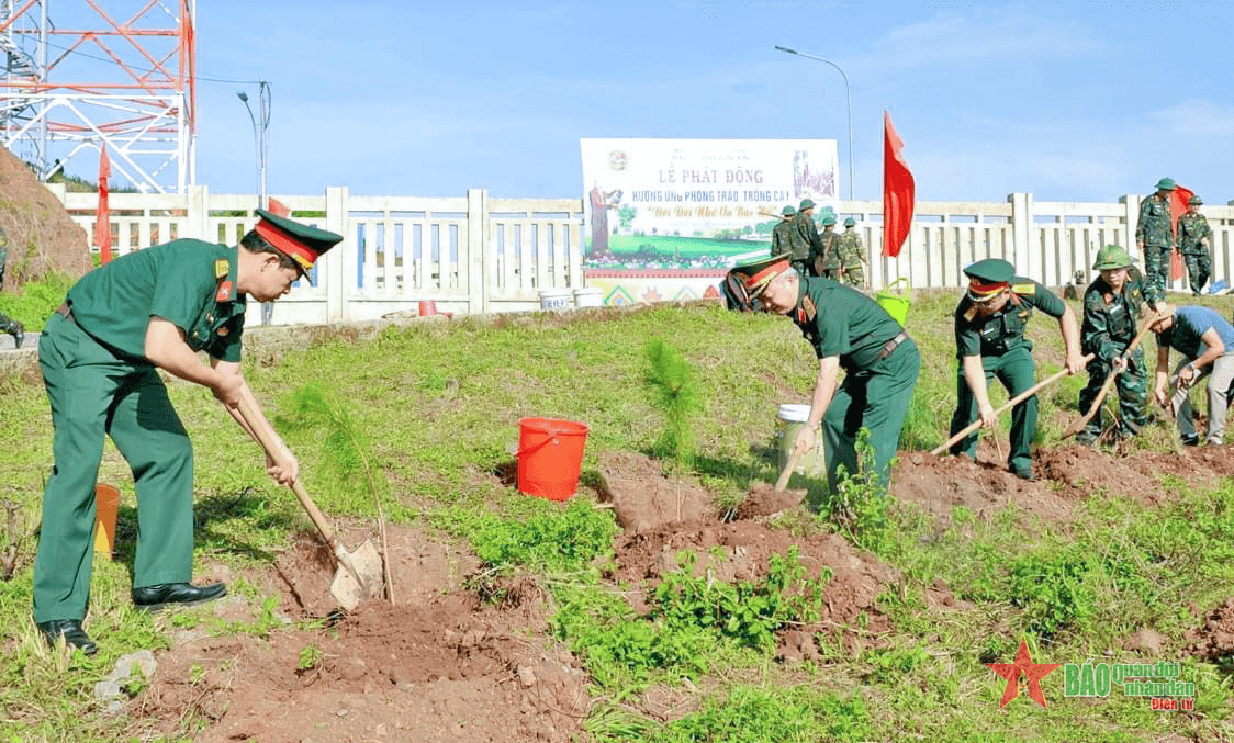 Binh đoàn 15: Dự kiến trồng 15 nghìn cây xanh trong năm 2024