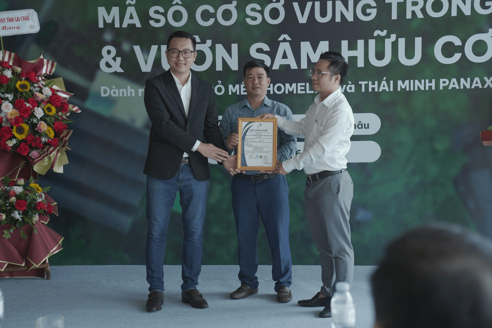 Vườn Sâm Lai Châu của Thái Minh trở thành đơn vị đầu tiên được cấp chứng nhận đạt tiêu chuẩn hữu cơ