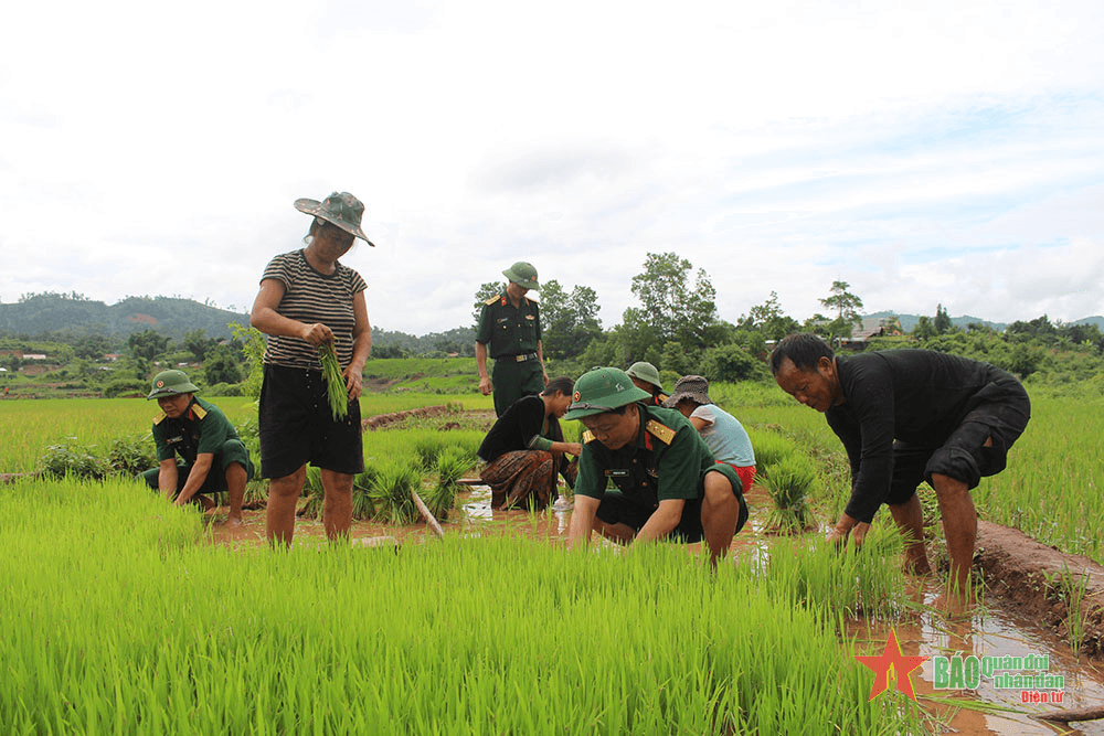 Đoàn Kinh tế - Quốc phòng 379 (Quân khu 2): Gắn bó máu thịt với đồng bào, xây dựng vùng biên vững mạnh