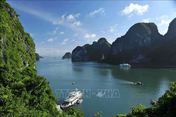 Xác minh, làm rõ việc tàu du lịch “bỏ rơi” khách trên vịnh Hạ Long