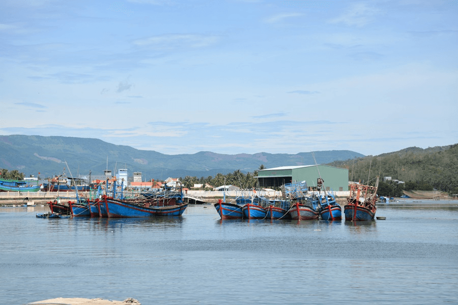 Chuyển biến tích cực trong chống khai thác thủy sản bất hợp pháp
