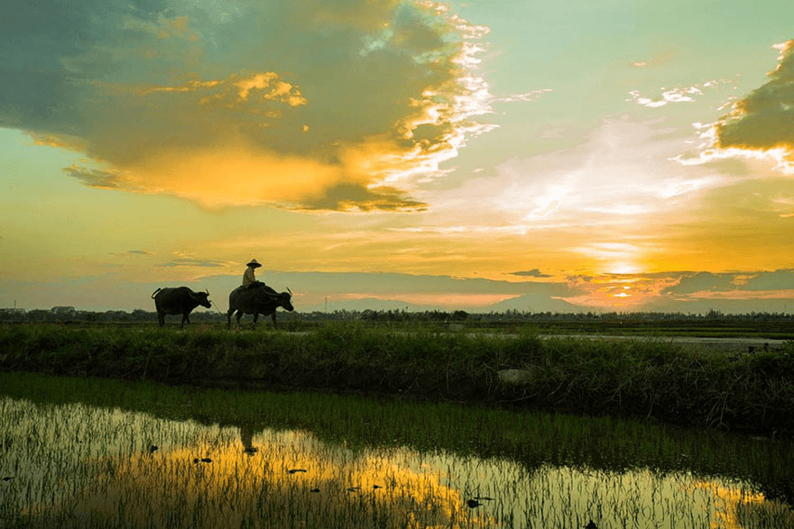 Khoảng trời quê ngoại