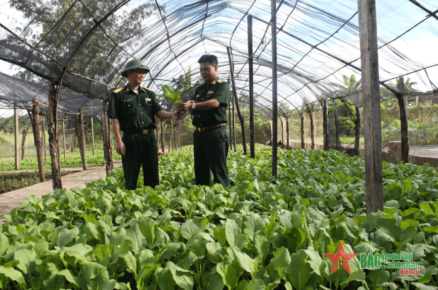 Kho K882 tạo đột phá về tăng gia sản xuất
