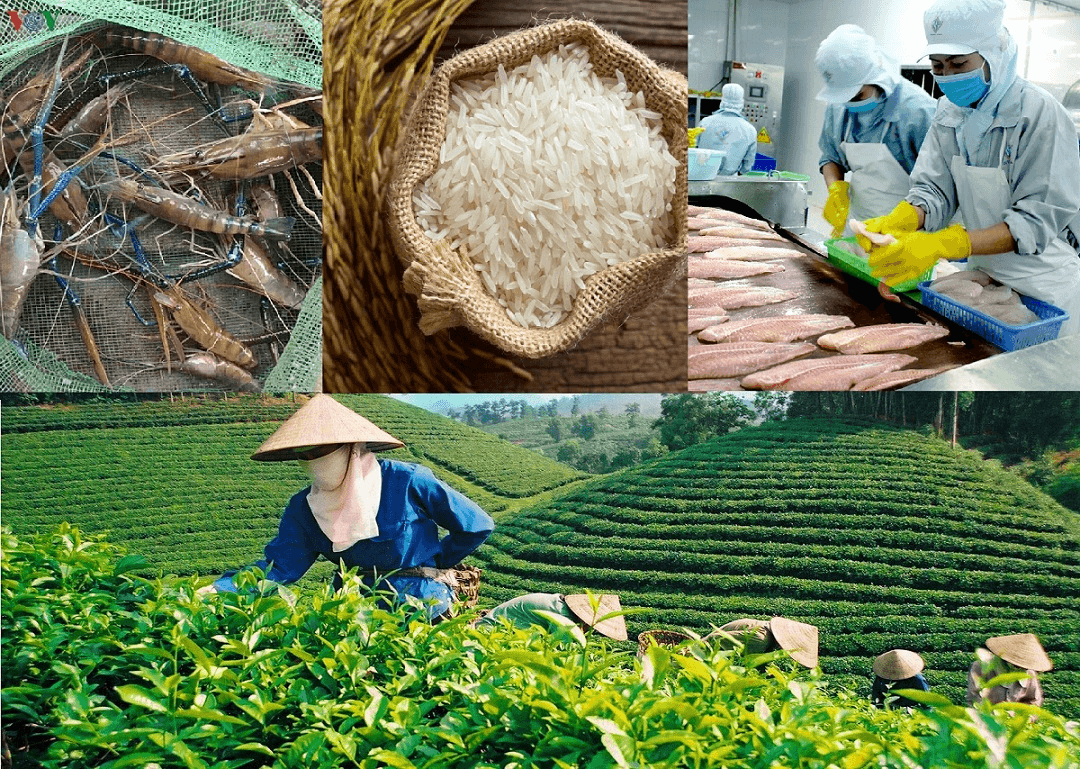 Bảo vệ nhãn hiệu đặc sản địa phương