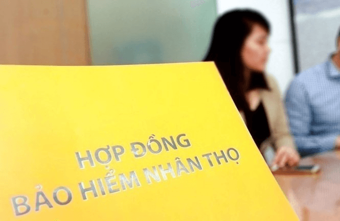 Nguyên tắc giao kết và thực hiện hợp đồng bảo hiểm được pháp luật quy định như thế nào?