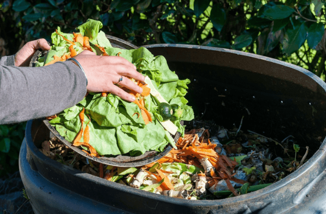 Cuộc khủng hoảng đáng báo động