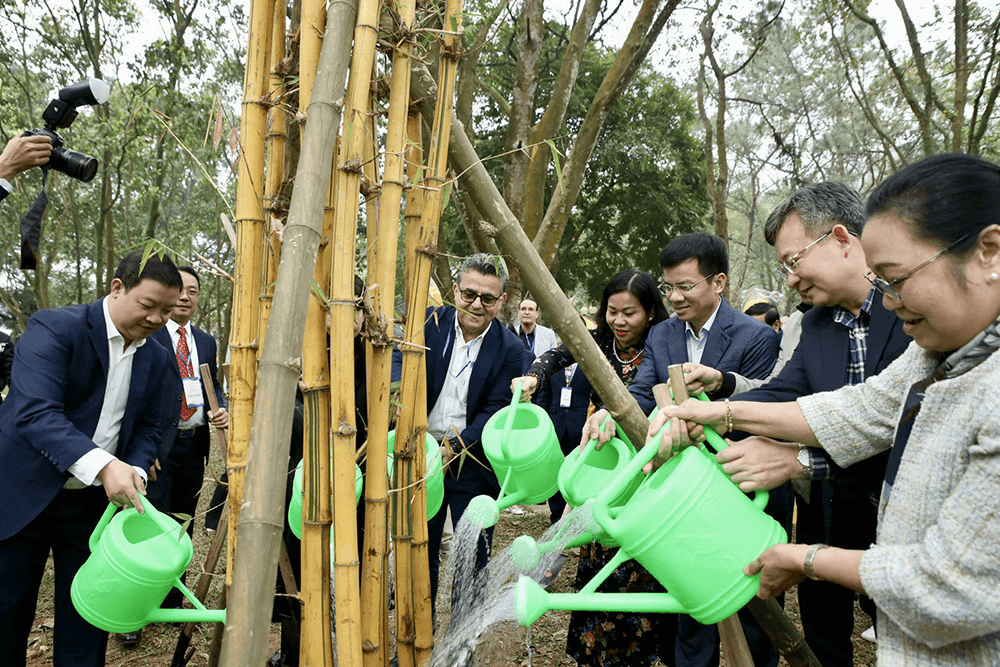 Hà Nội nghìn năm vang vọng: Dưới bóng tre ngà nhớ tiền nhân