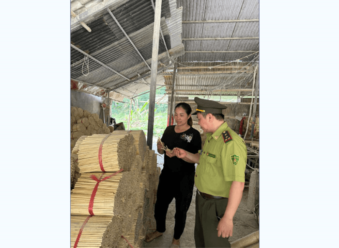 Huyện Quan Sơn (Thanh Hóa): Cần gỡ khó cho người trồng nứa, vầu